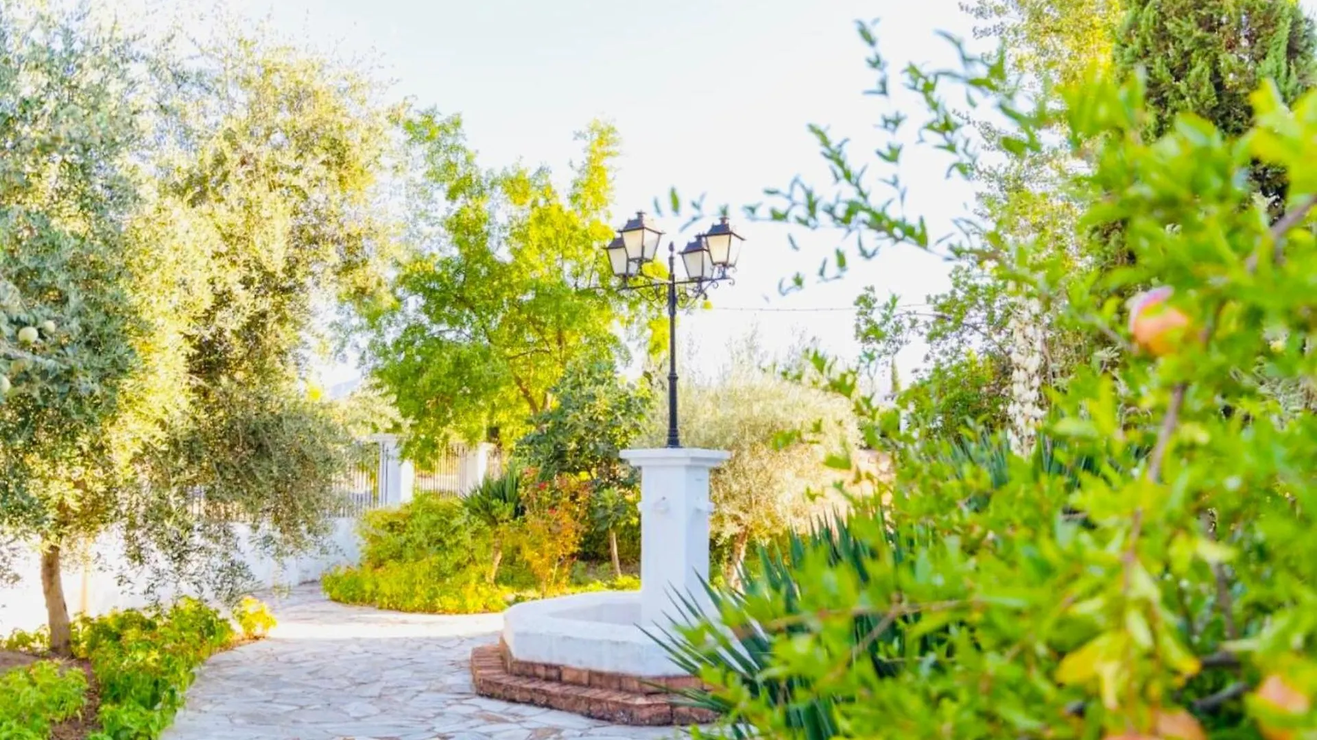 Casa Zagrilla Piscina Lägenhet Priego de Córdoba